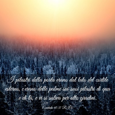 Picture 03 - Ezechiele 40:37 RIV - I pilastri della porta erano dal lato del cortile - Bible Verse Picture