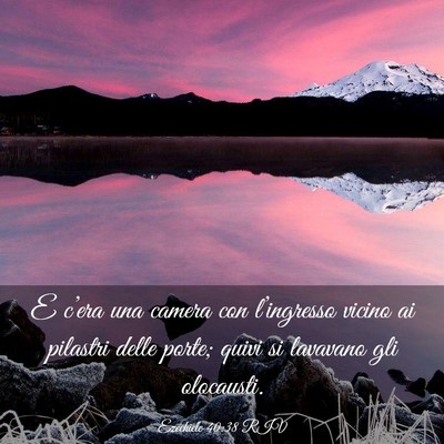 Picture 03 - Ezechiele 40:38 RIV - E c’era una camera con l’ingresso vicino ai - Bible Verse Picture