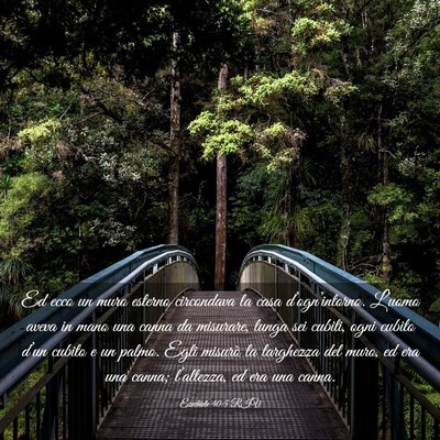 Picture 03 - Ezechiele 40:5 RIV - Ed ecco un muro esterno circondava la casa - Bible Verse Picture