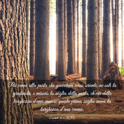 Picture 03 - Ezechiele 40:6 RIV - Poi venne alla porta che guardava verso oriente, - Bible Verse Picture