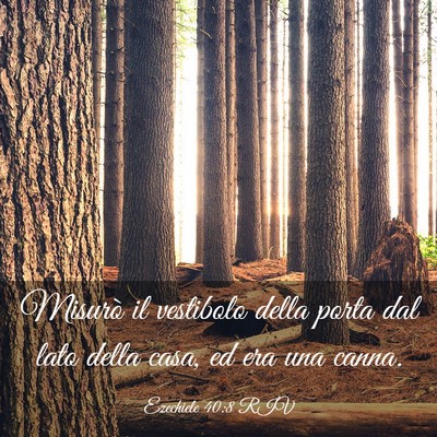 Picture 03 - Ezechiele 40:8 RIV - Misurò il vestibolo della porta dal lato della - Bible Verse Picture