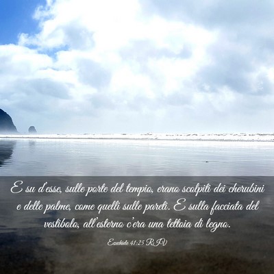 Picture 03 - Ezechiele 41:25 RIV - E su d’esse, sulle porte del tempio, erano - Bible Verse Picture