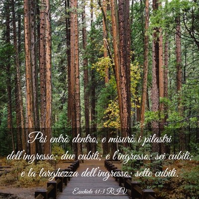 Picture 03 - Ezechiele 41:3 RIV - Poi entrò dentro, e misurò i pilastri - Bible Verse Picture