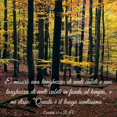 Picture 03 - Ezechiele 41:4 RIV - E misurò una lunghezza di venti cubiti e una - Bible Verse Picture