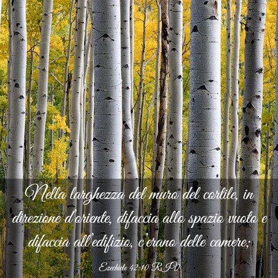 Picture 03 - Ezechiele 42:10 RIV - Nella larghezza del muro del cortile, in - Bible Verse Picture