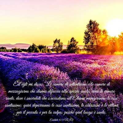 Picture 03 - Ezechiele 42:13 RIV - Ed egli mi disse: “Le camere di settentrione e - Bible Verse Picture