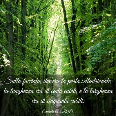Picture 03 - Ezechiele 42:2 RIV - Sulla facciata, dov’era la porta - Bible Verse Picture