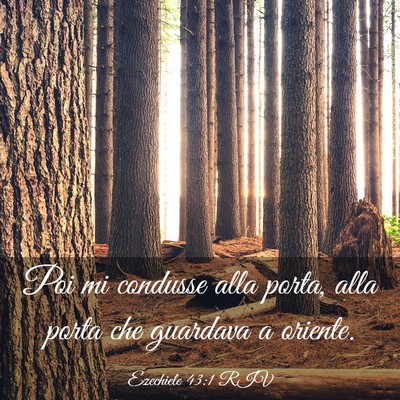 Picture 03 - Ezechiele 43:1 RIV - Poi mi condusse alla porta, alla porta che - Bible Verse Picture