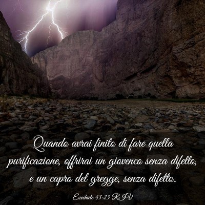 Picture 03 - Ezechiele 43:23 RIV - Quando avrai finito di fare quella purificazione, - Bible Verse Picture