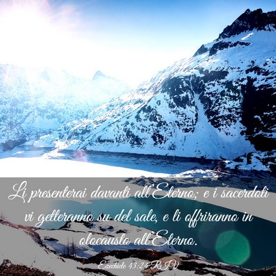 Picture 03 - Ezechiele 43:24 RIV - Li presenterai davanti all’Eterno; e i - Bible Verse Picture