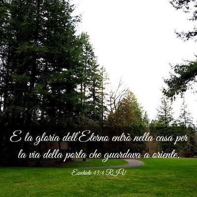 Picture 03 - Ezechiele 43:4 RIV - E la gloria dell’Eterno entrò nella casa per - Bible Verse Picture