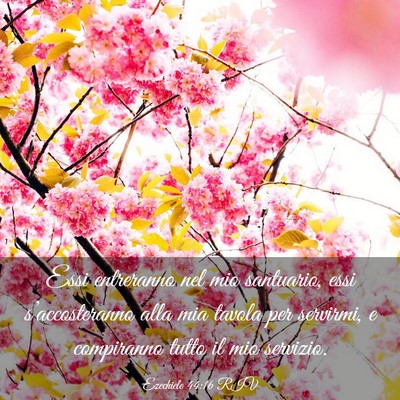 Picture 03 - Ezechiele 44:16 RIV - Essi entreranno nel mio santuario, essi - Bible Verse Picture