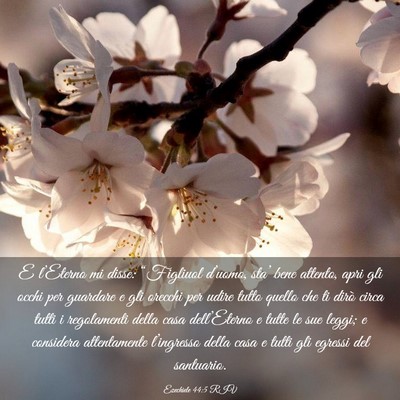 Picture 03 - Ezechiele 44:5 RIV - E l’Eterno mi disse: “Figliuol d’uomo, - Bible Verse Picture