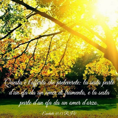 Picture 03 - Ezechiele 45:13 RIV - Questa è l’offerta che preleverete: la sesta - Bible Verse Picture
