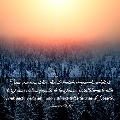 Picture 03 - Ezechiele 45:6 RIV - Come possesso della città destinerete cinquemila - Bible Verse Picture