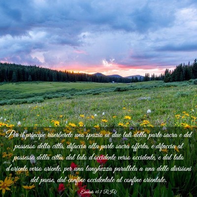 Picture 03 - Ezechiele 45:7 RIV - Per il principe riserberete uno spazio ai due - Bible Verse Picture