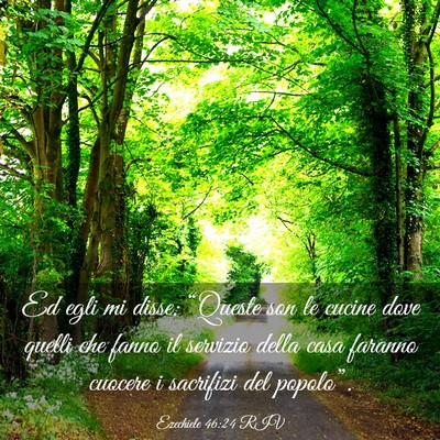 Picture 03 - Ezechiele 46:24 RIV - Ed egli mi disse: “Queste son le cucine dove - Bible Verse Picture