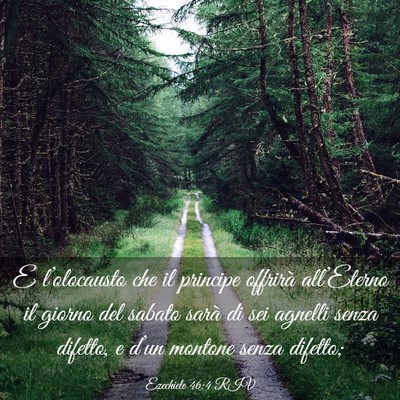 Picture 03 - Ezechiele 46:4 RIV - E l’olocausto che il principe offrirà - Bible Verse Picture