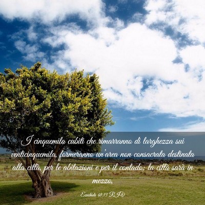 Picture 03 - Ezechiele 48:15 RIV - I cinquemila cubiti che rimarranno di larghezza - Bible Verse Picture