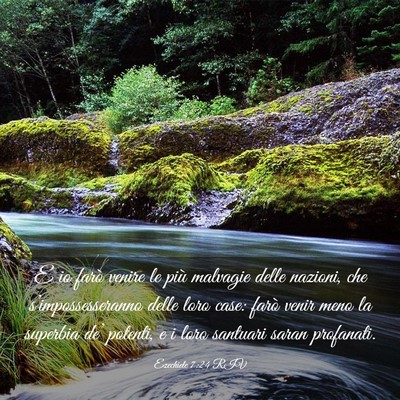 Picture 03 - Ezechiele 7:24 RIV - E io farò venire le più malvagie delle nazioni, - Bible Verse Picture
