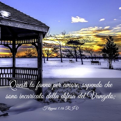 Picture 03 - Filippesi 1:16 RIV - Questi lo fanno per amore, sapendo che sono - Bible Verse Picture