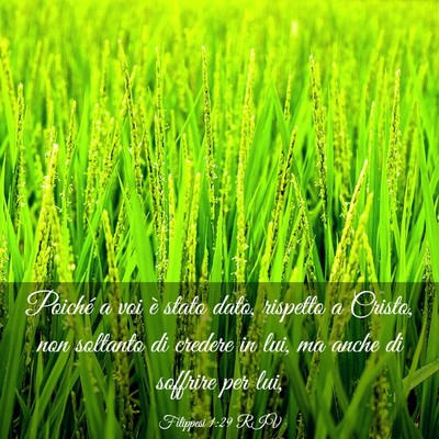Picture 03 - Filippesi 1:29 RIV - Poiché a voi è stato dato, rispetto a Cristo, - Bible Verse Picture