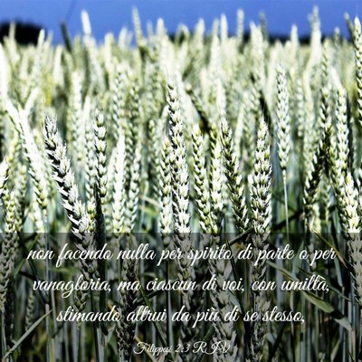 Picture 03 - Filippesi 2:3 RIV - non facendo nulla per spirito di parte o per - Bible Verse Picture