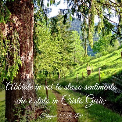 Picture 03 - Filippesi 2:5 RIV - Abbiate in voi lo stesso sentimento che è stato - Bible Verse Picture