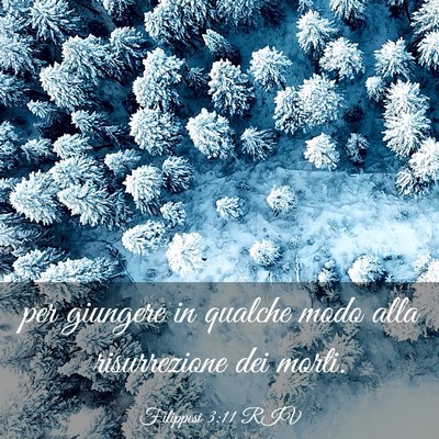 Picture 03 - Filippesi 3:11 RIV - per giungere in qualche modo alla risurrezione - Bible Verse Picture