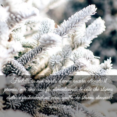 Picture 03 - Filippesi 3:13 RIV - Fratelli, io non reputo d’avere ancora ottenuto - Bible Verse Picture
