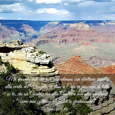 Picture 03 - Galati 2:14 RIV - Ma quando vidi che non procedevano con dirittura - Bible Verse Picture