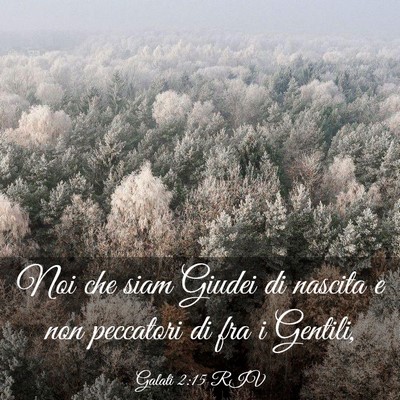 Picture 03 - Galati 2:15 RIV - Noi che siam Giudei di nascita e non peccatori di - Bible Verse Picture