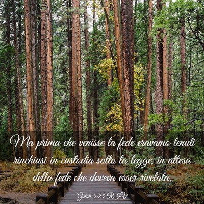 Picture 03 - Galati 3:23 RIV - Ma prima che venisse la fede eravamo tenuti - Bible Verse Picture