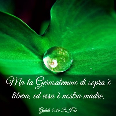 Picture 03 - Galati 4:26 RIV - Ma la Gerusalemme di sopra è libera, ed essa è - Bible Verse Picture