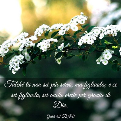 Picture 03 - Galati 4:7 RIV - Talché tu non sei più servo, ma figliuolo; e se - Bible Verse Picture