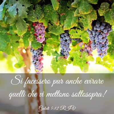 Picture 03 - Galati 5:12 RIV - Si facessero pur anche evirare quelli che vi - Bible Verse Picture