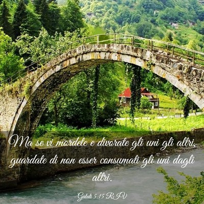 Picture 03 - Galati 5:15 RIV - Ma se vi mordete e divorate gli uni gli altri, - Bible Verse Picture