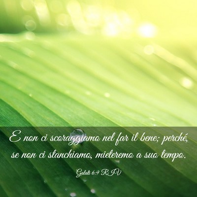 Picture 03 - Galati 6:9 RIV - E non ci scoraggiamo nel far il bene; perché, se - Bible Verse Picture