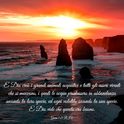 Picture 03 - Genesi 1:21 RIV - E Dio creò i grandi animali acquatici e tutti - Bible Verse Picture