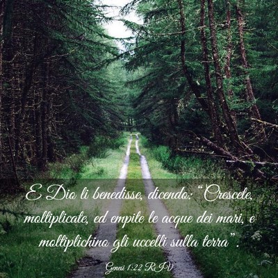 Picture 03 - Genesi 1:22 RIV - E Dio li benedisse, dicendo: “Crescete, - Bible Verse Picture