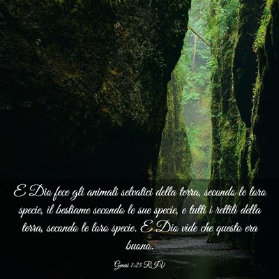 Picture 03 - Genesi 1:25 RIV - E Dio fece gli animali selvatici della terra, - Bible Verse Picture