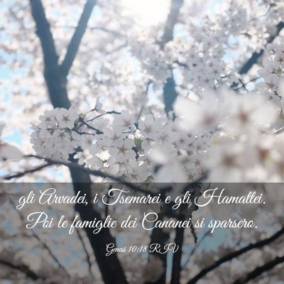 Picture 03 - Genesi 10:18 RIV - gli Arvadei, i Tsemarei e gli Hamattei. Poi le - Bible Verse Picture