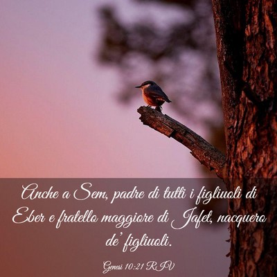 Picture 03 - Genesi 10:21 RIV - Anche a Sem, padre di tutti i figliuoli di Eber e - Bible Verse Picture