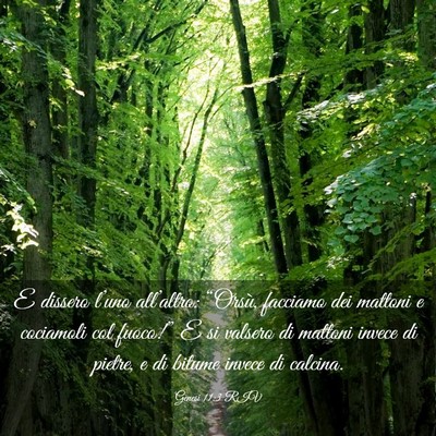 Picture 03 - Genesi 11:3 RIV - E dissero l’uno all’altro: “Orsù, facciamo - Bible Verse Picture