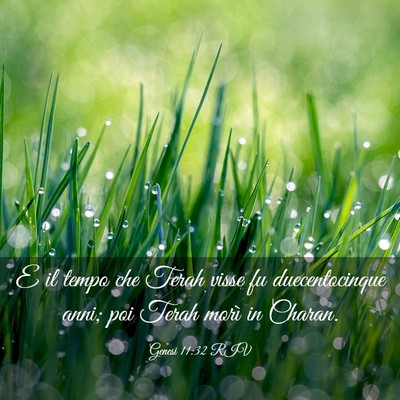 Picture 03 - Genesi 11:32 RIV - E il tempo che Terah visse fu duecentocinque - Bible Verse Picture