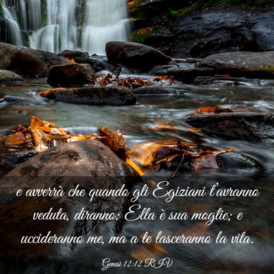 Picture 03 - Genesi 12:12 RIV - e avverrà che quando gli Egiziani t’avranno - Bible Verse Picture