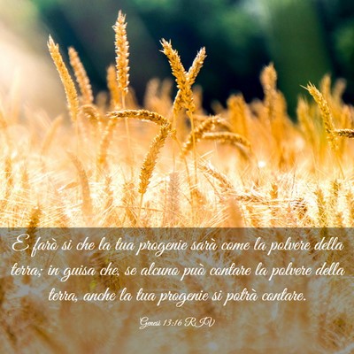 Picture 03 - Genesi 13:16 RIV - E farò si che la tua progenie sarà come la - Bible Verse Picture