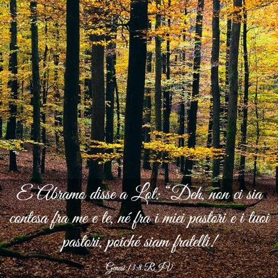 Picture 03 - Genesi 13:8 RIV - E Abramo disse a Lot: “Deh, non ci sia contesa - Bible Verse Picture