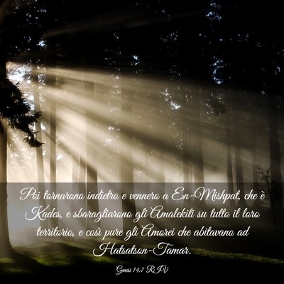 Picture 03 - Genesi 14:7 RIV - Poi tornarono indietro e vennero a En-Mishpat, - Bible Verse Picture