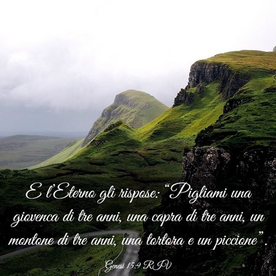 Picture 03 - Genesi 15:9 RIV - E l’Eterno gli rispose: “Pigliami una - Bible Verse Picture